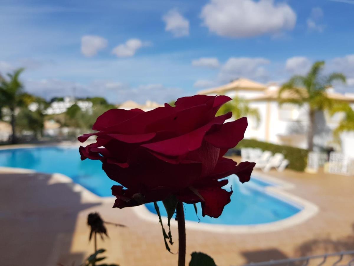 Villa Sergio S Place - Farm Village - By Algarkasa Albufeira